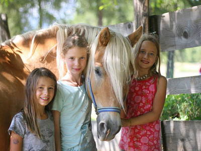 Bild 8 aus  Wietererhof