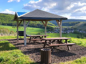 Bild 10 aus  Ferienweingut Becker