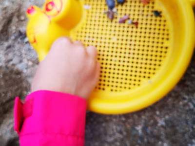 Bild 55 aus  Auf'm Reifnhof: Ihr Kreativhof am Simssee im Chiemgau