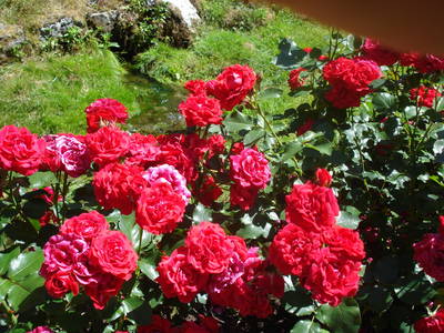 Bild 26 aus  Ferienhof Hohe - Familienfreundlicher Bio Bauernhof in idyllisch gelegenem Dorf.