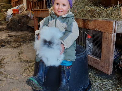 Bild 13 aus  Wangarhof