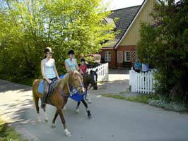 Bild 20 aus  Idyll an der Schlei