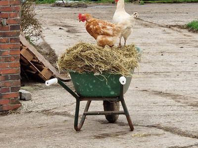 Bild 2 aus  Küstenhof Oldewurtel