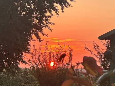 Bild 21 aus  Hof Belvedere an der Ostsee