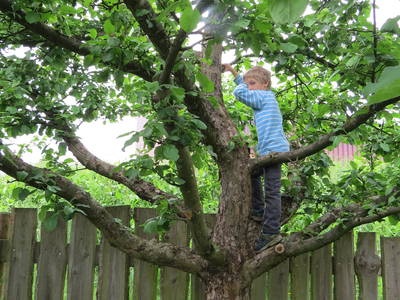 Bild 16 aus  Hof Wahls