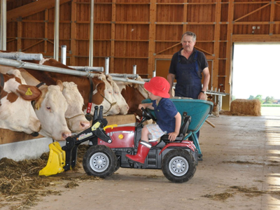 Bild 10 aus  Kainzenhof