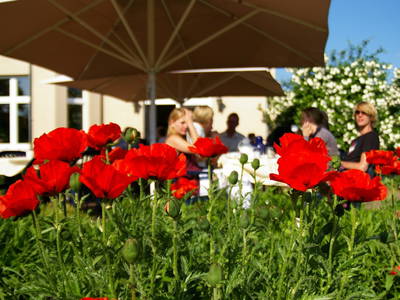 Bild 13 aus  Gutshaus Barkow