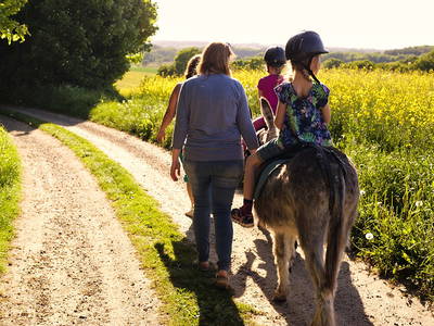 Bild 17 aus  Ostseebauernhof