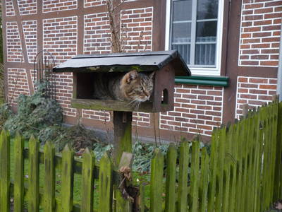 Bild 33 aus  Leverenzhof