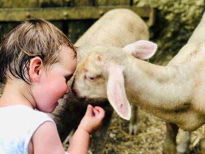 Bild 18 aus  Le Colombié - Ferienhäuser an der Dordogne mieten