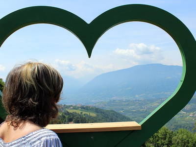 Bild 9 aus  Gasserhof B&B - Appartement