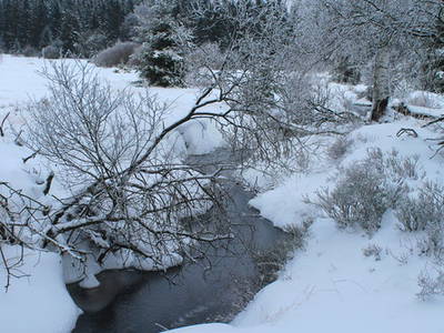 Bild 31 aus  Victorhof Ferienwohnungen