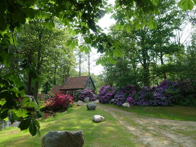 Bild 17 aus  Ferienanlage Böttcher Hof