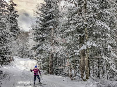 Bild 23 aus  Benglerwald Berg Chaletdorf