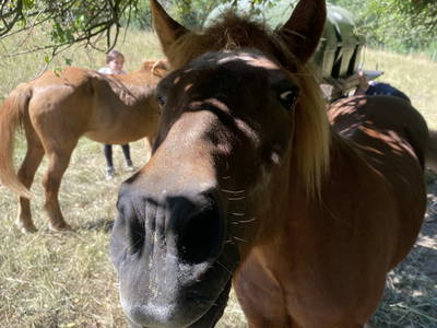 Bild 24 aus  LandSelection Rüsterhof