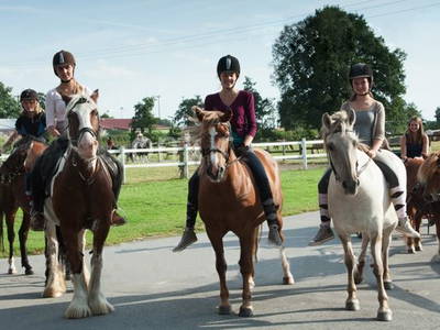 Bild 14 aus  Pension-Ponyhof Hartmann