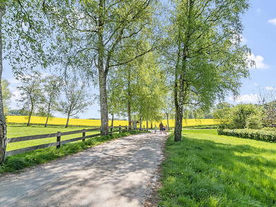 Bild 40 aus  LandSelection Ferienhof Radlandsichten