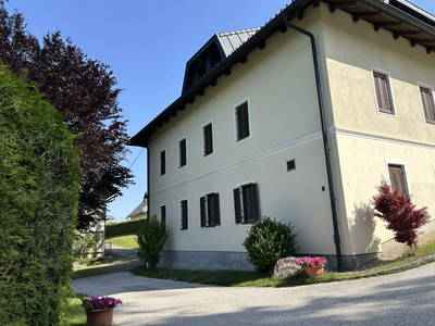 Bild 20 aus  Kollehof