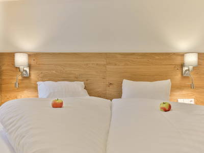 Bild 124 aus  Kronhofer - Apartments und Erlebnis-Imkerei