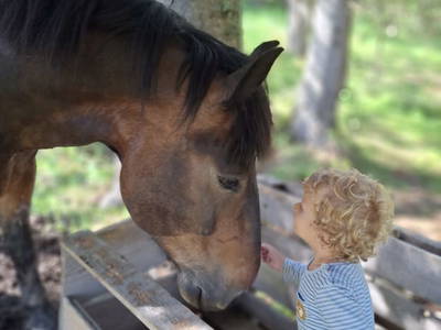 Bild 62 aus  Pferdehof Oberegg