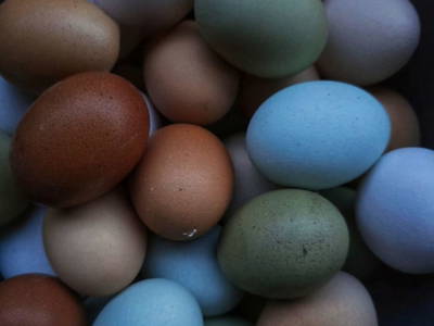 Bild 189 aus  Granbichlhof