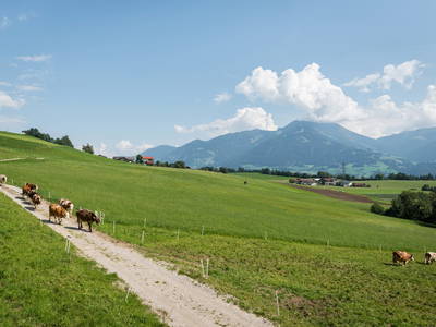 Bild 58 aus  Wichtelhütte
