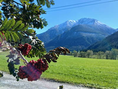 Bild 49 aus  Die Gudrun