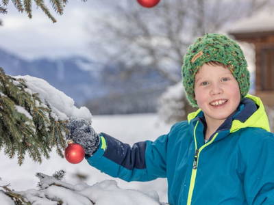 Bild 44 aus  Tom's Alpenhütte