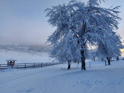 Bild 51 aus  Forstbauer