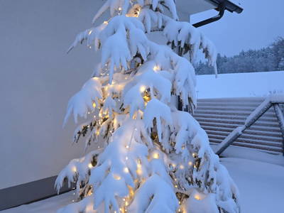 Bild 104 aus  Feriennest Zehetbauer