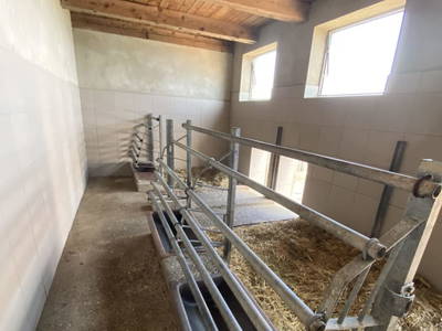 Bild 232 aus  Seewaldhof