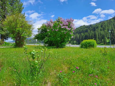 Bild 32 aus Vierthalerhof
