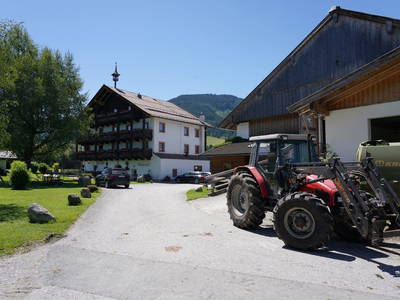 Bild 12 aus  Klinglerhof