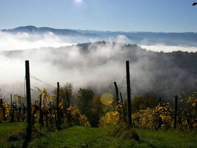 Bild 36 aus  Der Ofenmacherhof  Urlaub am Bauernhof