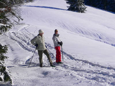 Bild 15 aus  Ferienhof Baur