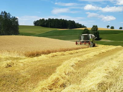 Bild 84 aus  Ziermetzer