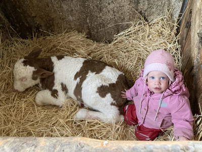 Bild 15 aus  Schmiedlehnerhof