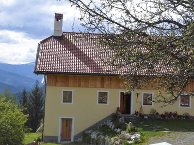 Bild 16 aus  Wohlfühloase Koglerhof