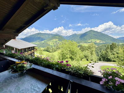 Bild 93 aus  Vordersattlegg