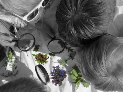 Bild 107 aus  Pesbichl