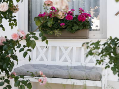 Bild 2 aus  Ferienhof & Ferienwohnungen Büller