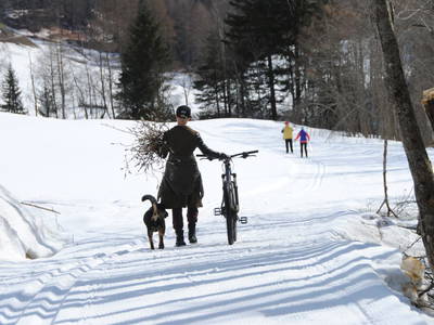 Bild 78 aus  Sturm-Archehof