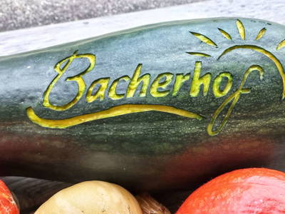 Bild 196 aus Bio- und Vitalbauernhof Bacherhof