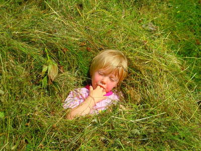 Bild 8 aus  Wansinghütte