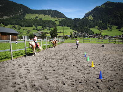 Bild 31 aus  Haus Bergquell mit Pferdestall