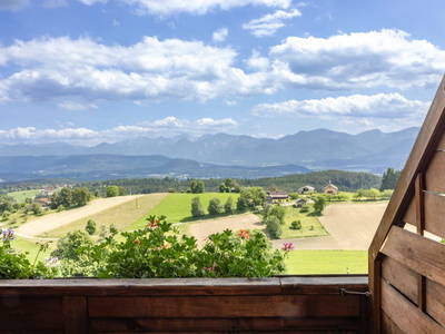 Bild 66 aus  Pleschinhof