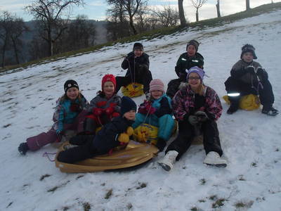 Bild 90 aus  Familie Resch am Hörlesberg