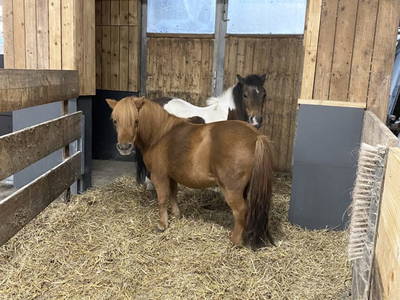 Bild 166 aus  Erbhof Hinting + Appartementhaus Hinting