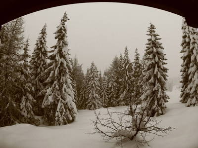 Bild 51 aus  Almhaus Gisela