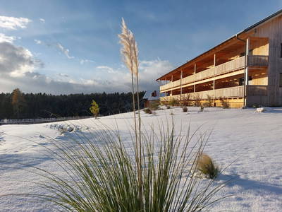 Bild 125 aus  Pircherhof - Adults Only am Biobauernhof